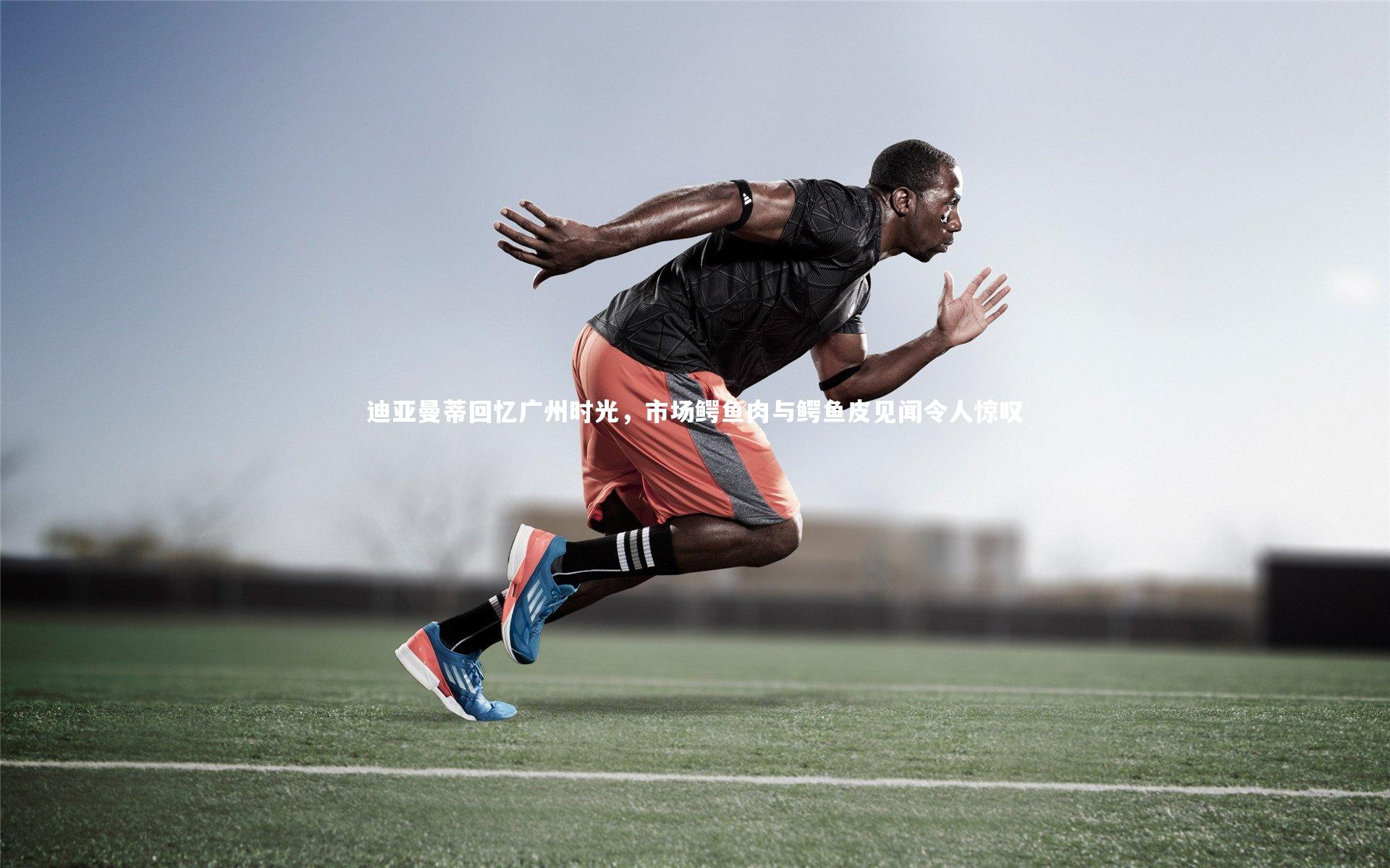 迪亚曼蒂回忆广州时光，市场鳄鱼肉与鳄鱼皮见闻令人惊叹