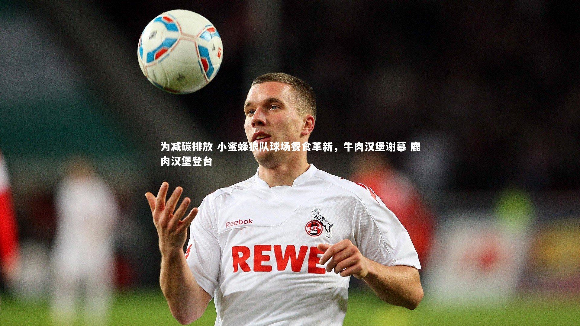 为减碳排放 小蜜蜂狼队球场餐食革新，牛肉汉堡谢幕 鹿肉汉堡登台