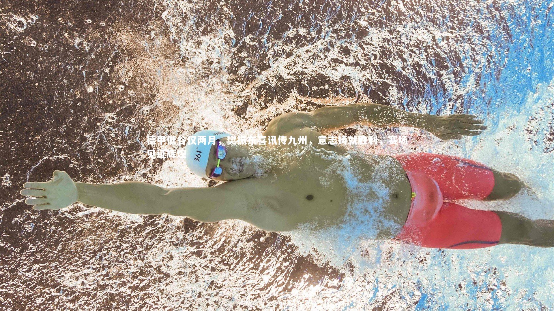 德甲低谷仅两月，樊振东喜讯传九州，意志铸就胜利，赛场见证辉煌